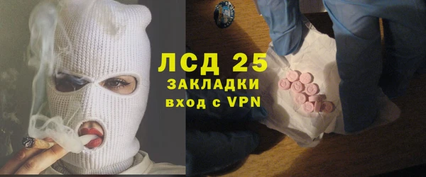 гидра Михайловка