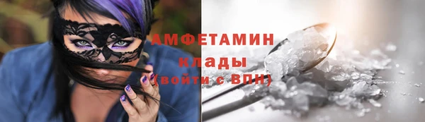 гидра Михайловка