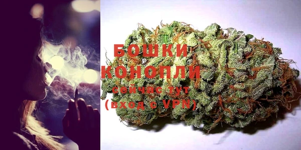 гидра Михайловка