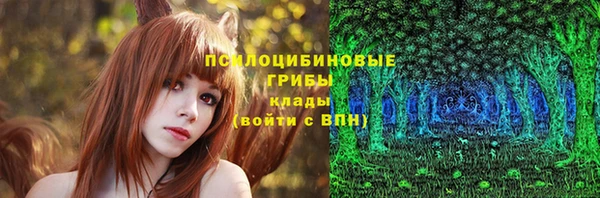 прущий лед Михайлов