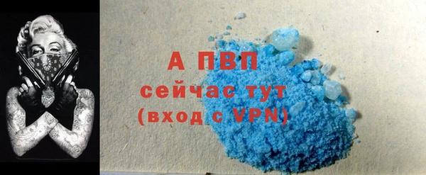 гидра Михайловка