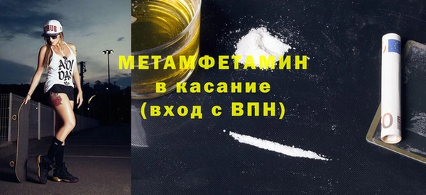 гидра Михайловка