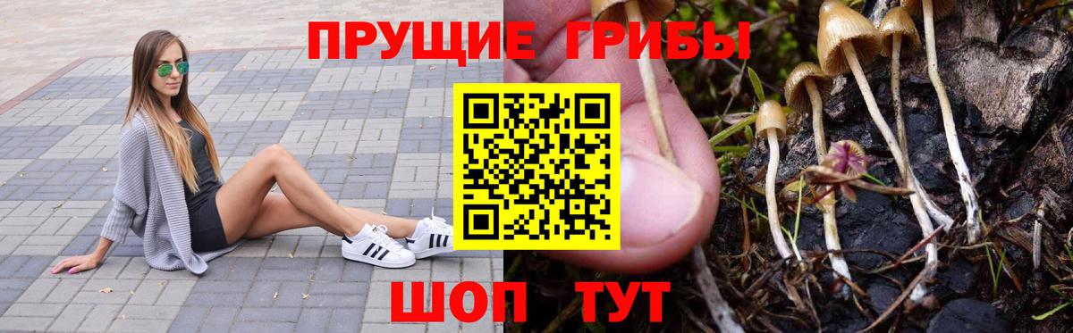 Псилоцибиновые грибы Psilocybe  Вход с VPN  Галлюциногенные грибы мицелий  Смоленск 