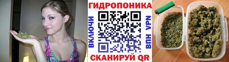 omg маркетплейс  Смоленск  Марихуана Amnesia  купить  